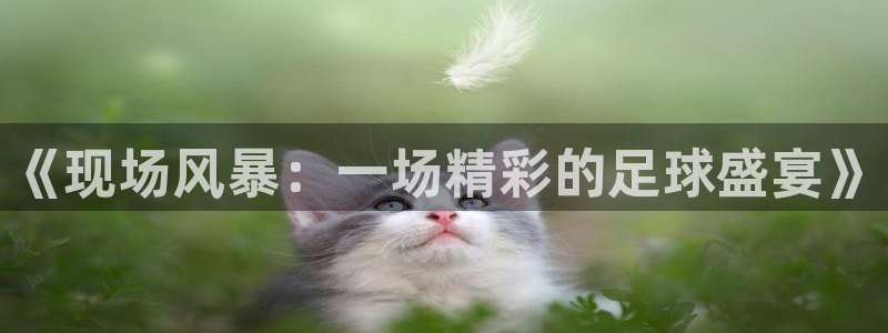 《现场风暴：一场精彩的足球盛宴》