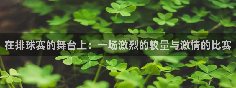 沙巴足球：在排球赛的舞台上：一场激烈的较量与激情的比赛