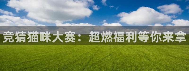 沙巴足球：竞猜猫咪大赛：超燃福利等你来拿