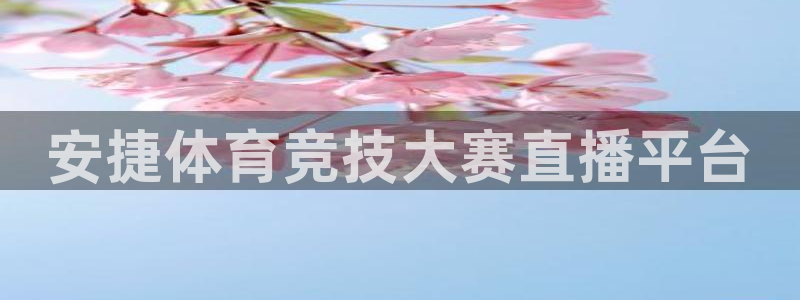 河豚体育直播app官网入口：安捷体育竞技大赛直播平台