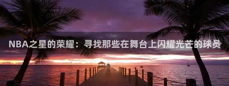 河豚体育直播在线观看：NBA之星的荣耀：寻找那些在舞台上闪耀光芒的球员