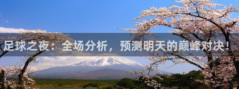 河豚体育直播app官网入口：足球之夜：全场分析，预测明天的巅峰对决！