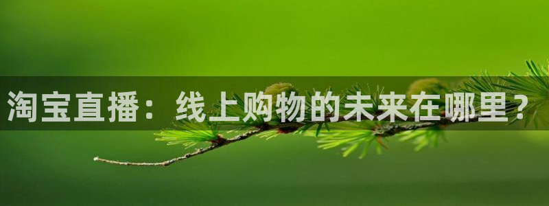 河豚体育nba直播：淘宝直播：线上购物的未来在哪里？