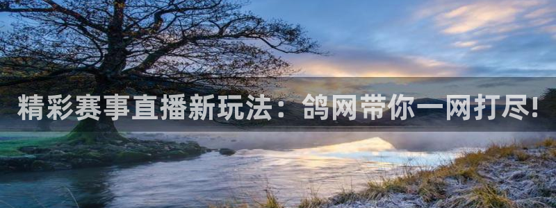 河豚体育app下载：精彩赛事直播新玩法：鸽网带你一网打尽!