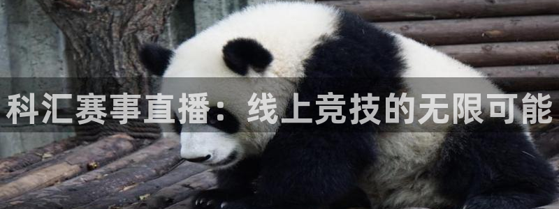 河豚体育赛事直播：科汇赛事直播：线上竞技的无限可能