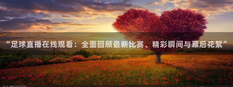 河豚在线：“足球直播在线观看：全面回顾最新比赛、精彩瞬间与幕后花絮”