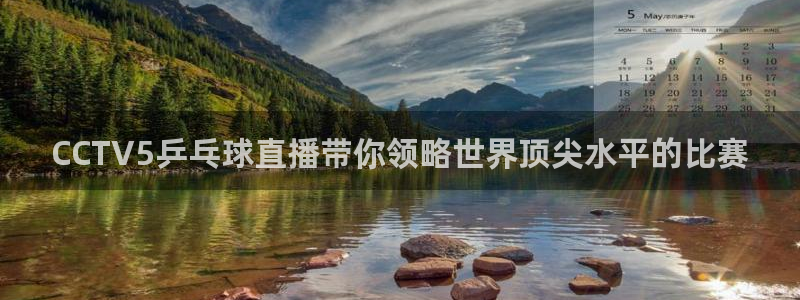 河豚河豚：CCTV5乒乓球直播带你领略世界顶尖水平的比赛