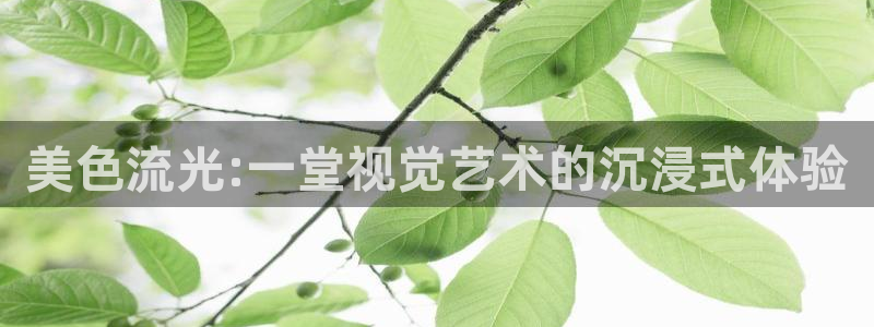 河豚体育在线观看直播：美色流光:一堂视觉艺术的沉浸式体验