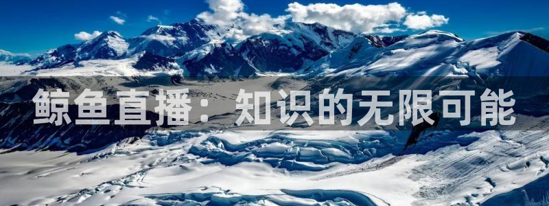 河豚直播nba免费观看：鲸鱼直播：知识的无限可能