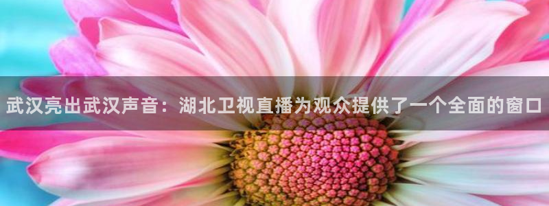 河豚nba篮球直播在线观看：武汉亮出武汉声音：湖北卫视直播为观众提供了一个全面的窗口